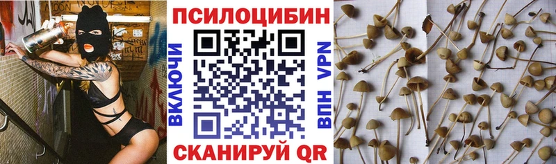 Псилоцибиновые грибы прущие грибы  где найти   Сельцо 